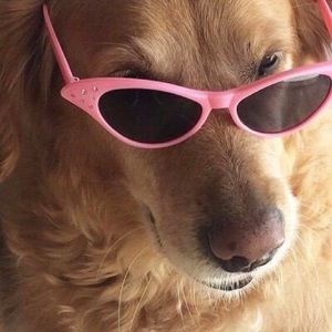 Meet your Posher, Melanei